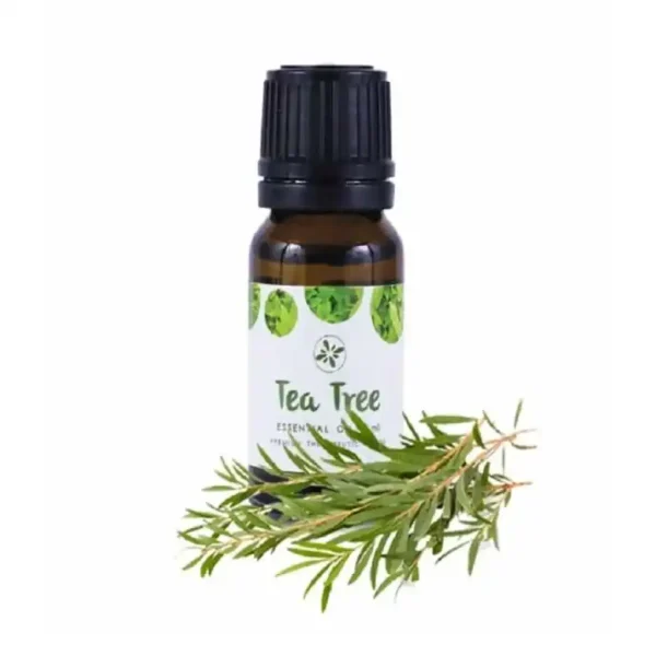 Skin Cafe Tea Tree Essential Oil 10ml - Image 1